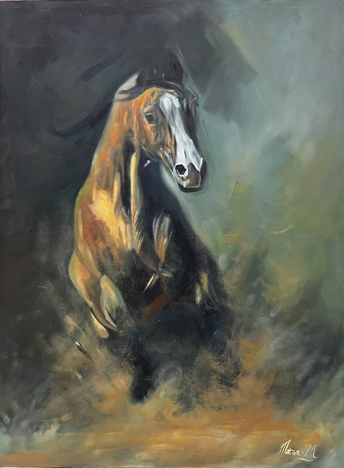 FREEDOM’S GALLOP